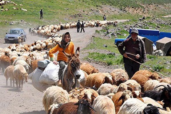 ۳۳ میلیارد تومان تسهیلات به عشایر خراسان جنوبی پرداخت شد