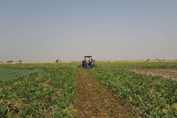 بهره برداری از ۱۴ پروژه بخش کشاورزی در شهرستان بشرویه