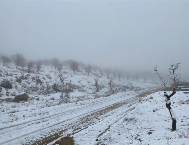 لباس سفید بر قامت سرایان